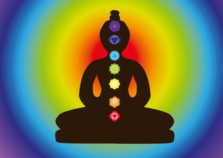 L&rsquo;importance des chakras pour la santé :